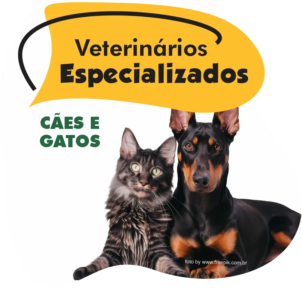 Cachorro de óculos